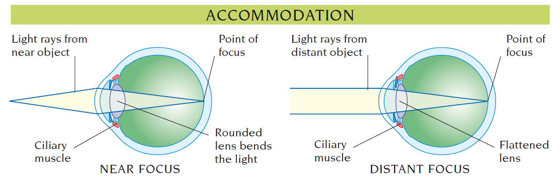accommodation